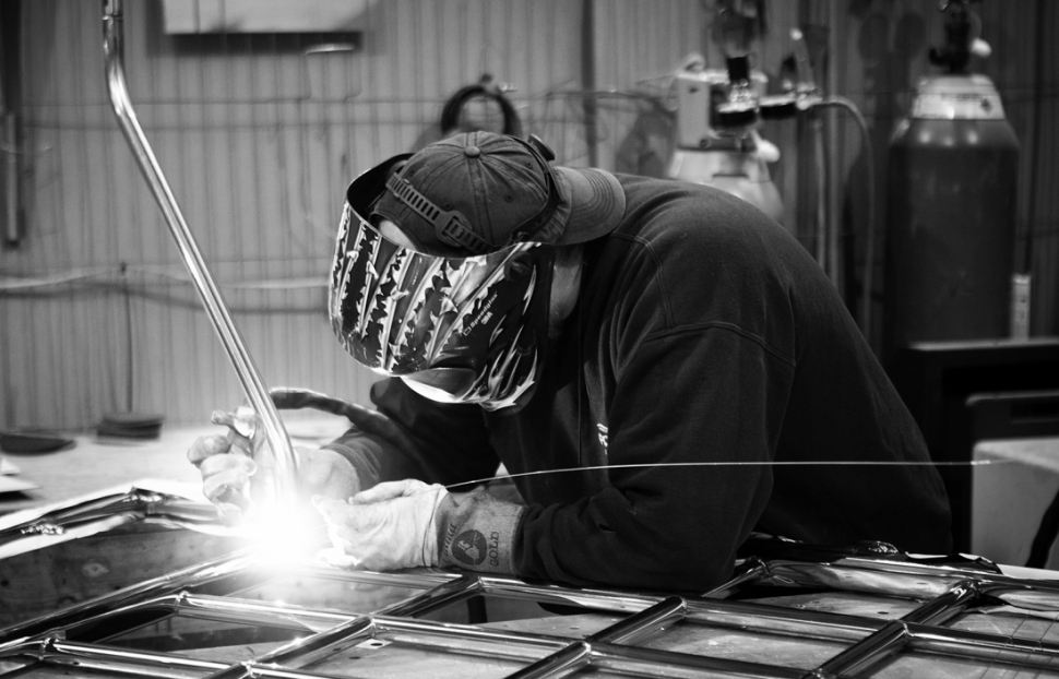 Meet the Fox's Team - Adam Bird