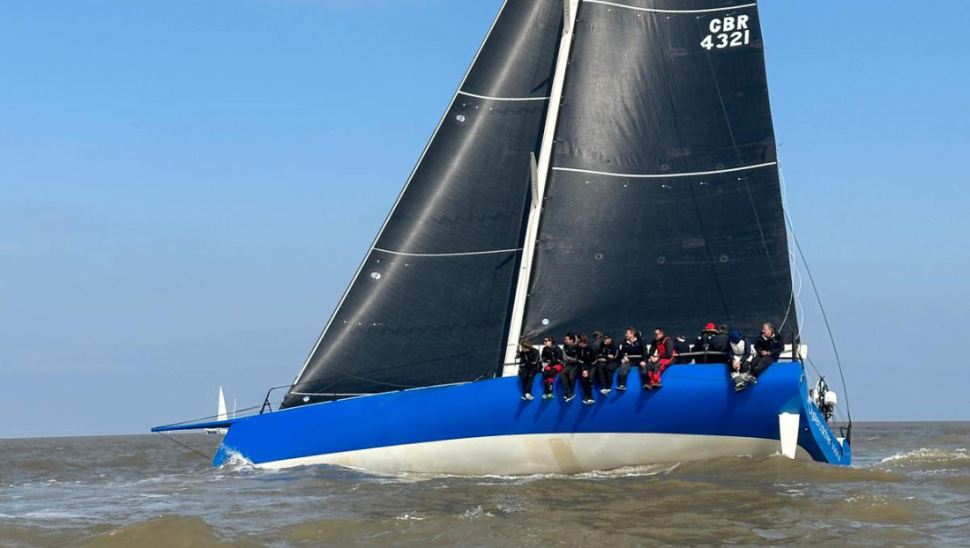 Oystercatcher 35
