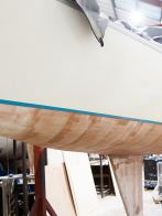 Sonar bottom BEFORE Coppercoat treatment