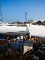 South Australia and Crusader