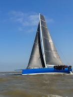 Oystercatcher 35