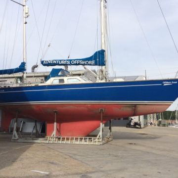 Judy Harrison, Adventures Offshore Sail Training Yacht