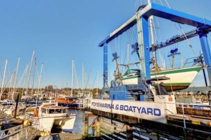 COVID-19 – Fox’s Opening Hours and How to Contact the Fox’s Team