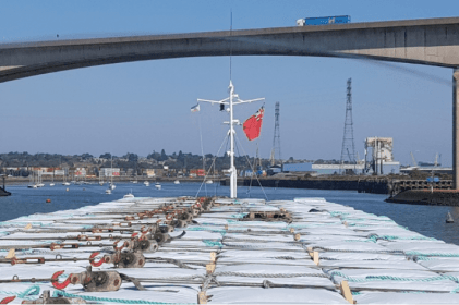 Prevention of Collision at Sea