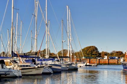 Fox's Marina Covid-19 Update