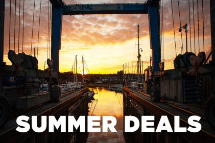 Fox's summer deals